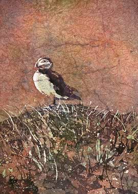 Puffin Watercolor Painting