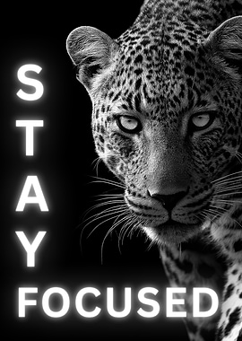 Leopard Stay Focused