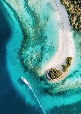 Tropical Island Aerial View