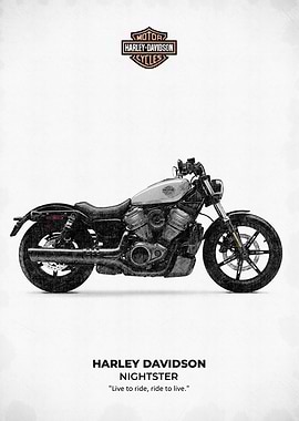 Harley Davidson Nightster Motorcycle sketch style