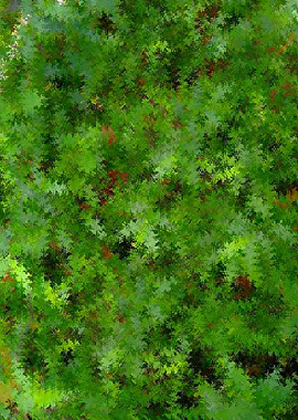 Abstract Green Foliage GJU4
