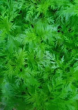 Green Leaf Pattern GJU9