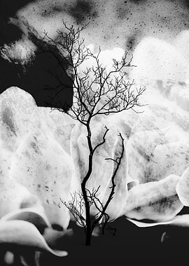 Silhouette Tree in Abstract Landscape Nature Collage