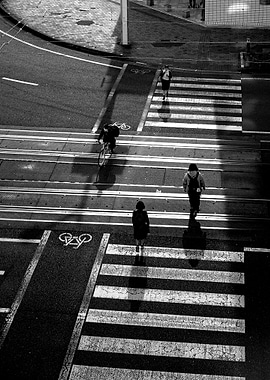 The Light Between Footsteps