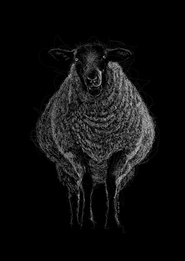 Black Sheep or White Sheep Line Art
