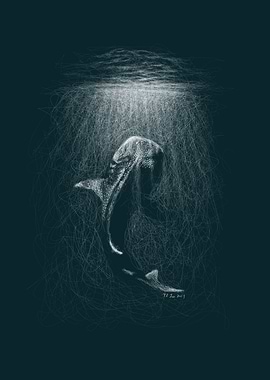 Whale Shark Line Art