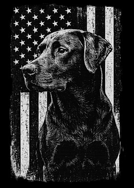 Black Labrador American Flag