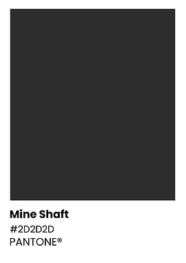 Pantone Color: Mine Shaft