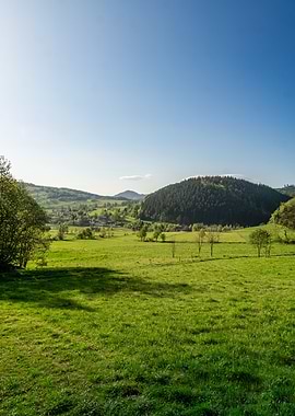 Green Valley Landscape
