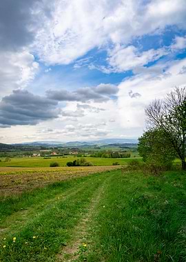 Countryside Path with Cloudy Sky