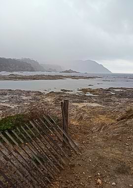 Coastal Landscape with Fence