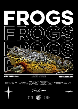 African Bullfrog Poster