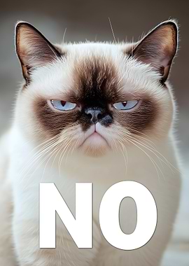 Grumpy Cat Says No