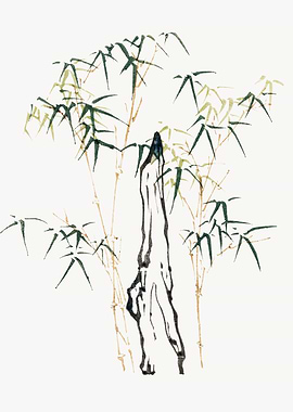Ink Wash Bamboo Painting
