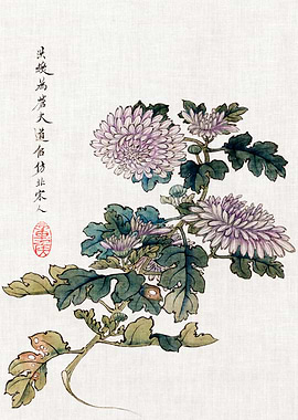 Chrysanthemum Painting