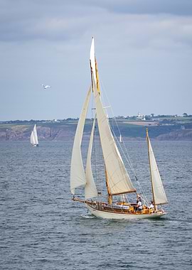Classic Sailboat on the Water