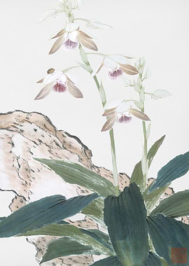 Orchid Painting