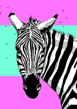 Zebra Line Art