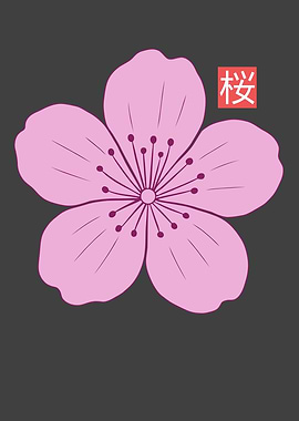 Pink Cherry Blossom Illustration