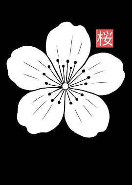 Japanese Cherry Blossom