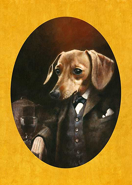 Dachshund Gentleman On Gold