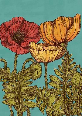 POPPIES