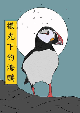 Puffin Under Moonlight