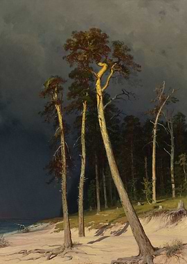 Pine Trees by the Sea