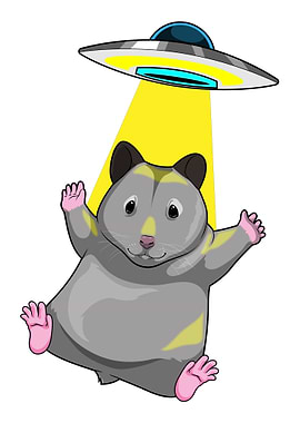 Hamster Spaceship Space