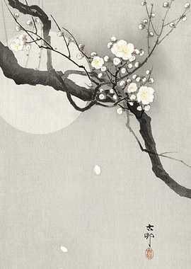 Plum Blossom Branch with Moon