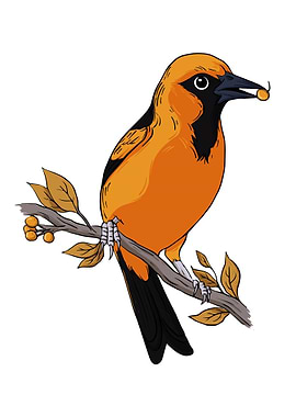 starlings Bird on Branch