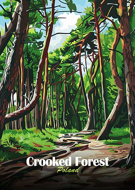 Crooked Forest Poland