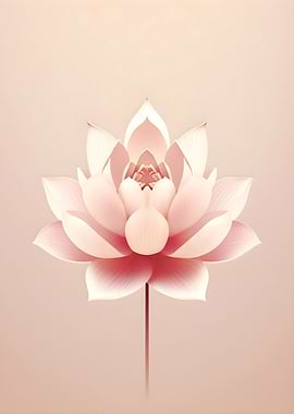 Pink Lotus Flower