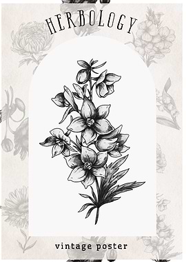 Vintage Herbology Poster july bithflower