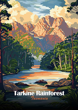 Tarkine Rainforest Tasmania