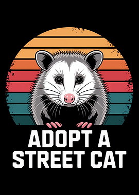 Opossum Street Cat Adoption