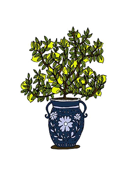 Lemon tree in decorative vase