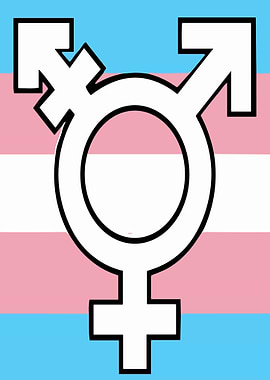 Transgender Symbol on Flag