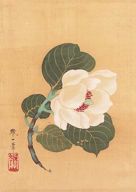 Japanese Magnolia Painting