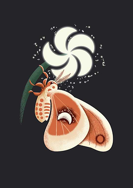 Magical Night Butterfly