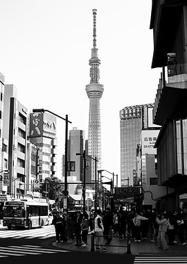 Tokyo Skytree in Black and White