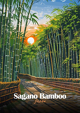 Sagano Bamboo Forest Japan Illustration