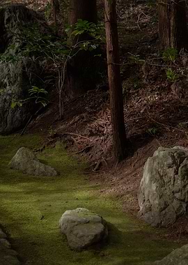 Wooden Path in Kyoto