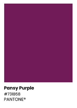 Pansy Purple Pantone Color Swatch