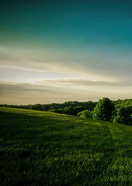 Green Field Landscape