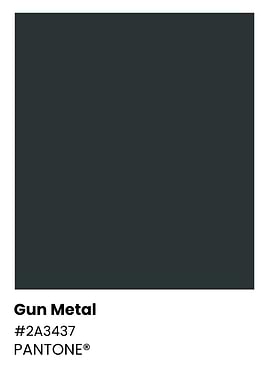 Gun Metal Pantone Color Swatch