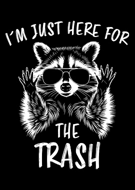 Raccoon Here for the Trash
