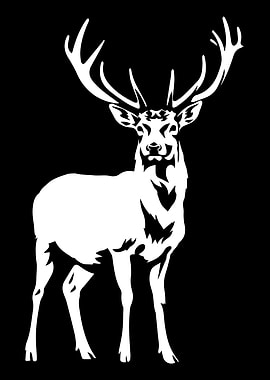 White Deer Silhouette on Black Background