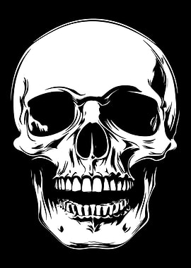 White Skull on Black Background