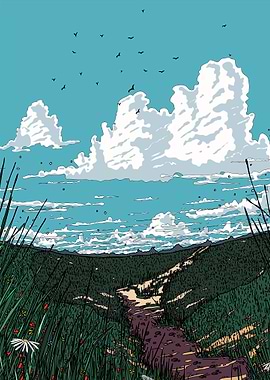 Path through meadow with cloudy sky